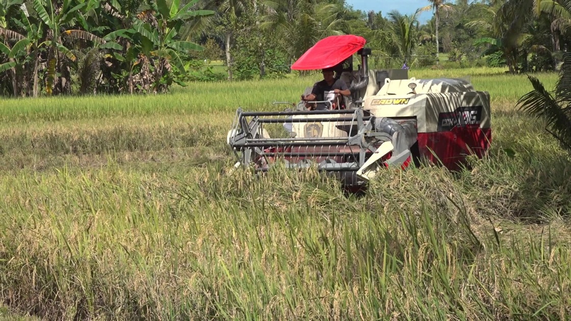 Pembangunan Sektor Pertanian Masih Jadi Fokus 2027, Pemkab Siapkan Strategi Penguatan dari Hulu ke Hilir