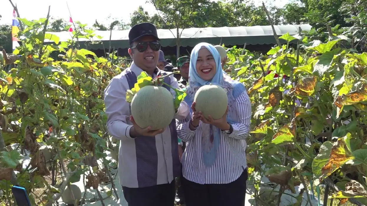 Semangat Petani Kadaman Sari, Buktikan Lahan Tidur Bisa Jadi Sumber Rezeki