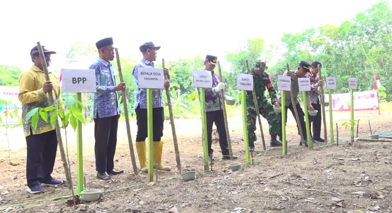 Target 2 Hektar, Desa Padangin Siapkan 7 Hektar! Ini Komitmennya untuk Pangan Daerah