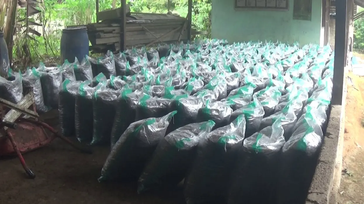 Disbunnak Tabalong Akan Salurkan 102 Ton Pupuk Kompos, Petani Lokal Jadi Produsen & Penerima Manfaat