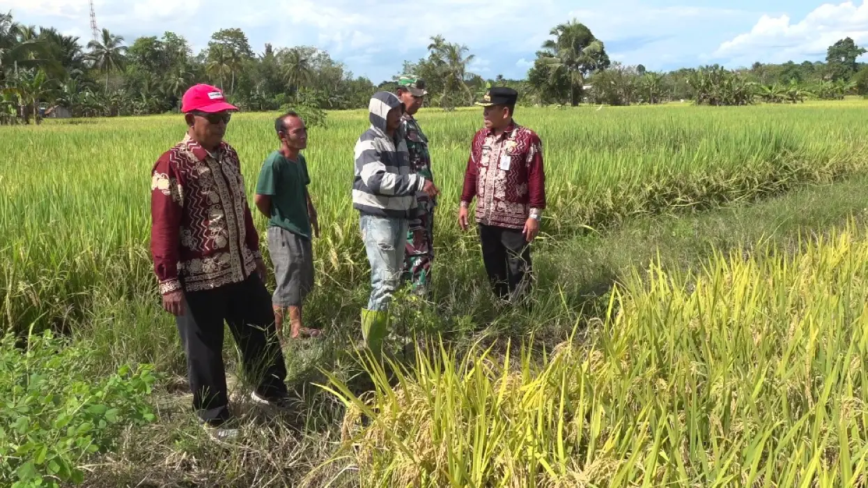 Optimalkan Lahan Pertanian, Perlu Ada Normalisasi Sungai di Banua Lawas
