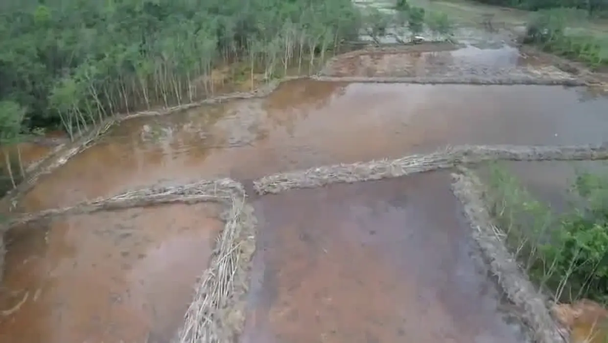 Tabalong Dapat Alokasi Cetak Sawah Baru Ratusan Hektar Dari Kementerian Pertanian