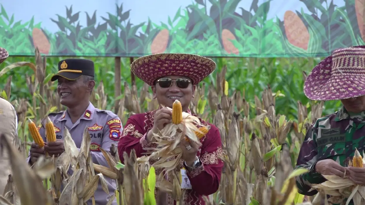 Polres Bersama Pemkab Tabalong Gelar Panen Raya Jagung, Hasilkan 9 Ton/Hektare