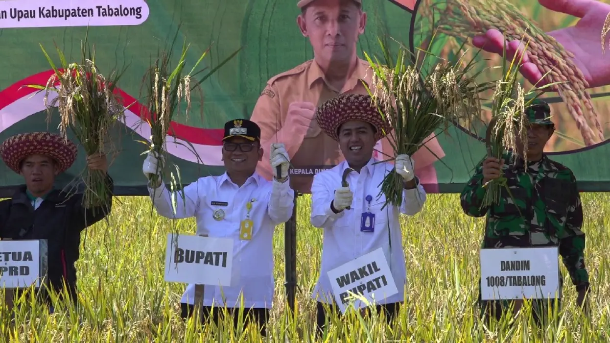 Ikuti Panen Raya Serentak, Pemkab Tabalong Panen Padi Seluas 17 Hektar di Desa Pangelak