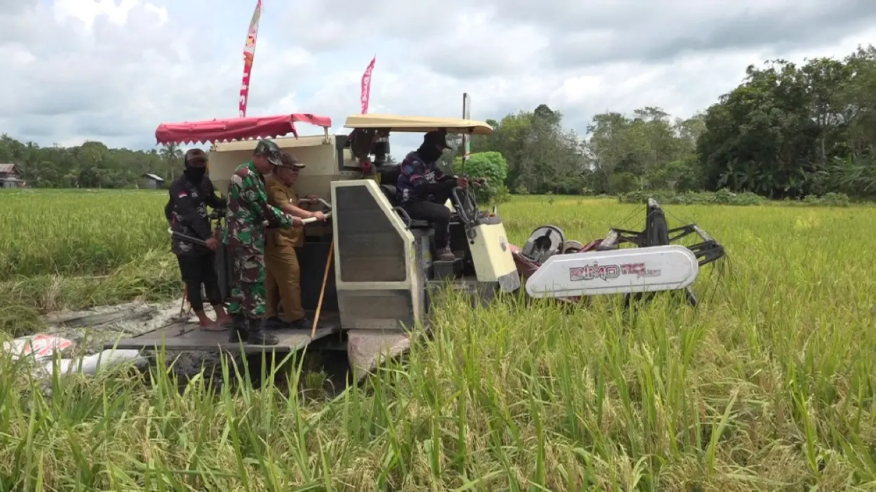 Dukung Bela Tani, Poktan Banua Rantau Siap Suplai 20 Ton Beras per Bulan