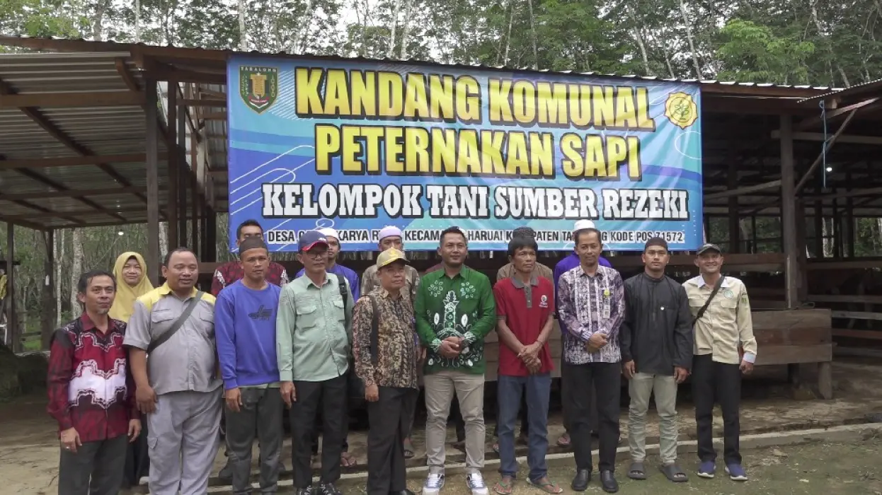 Juarai Lomba Ternak Sapi se-Kalsel, Tabalong Jadi Rujukan Studi Tiru Kabupaten Lain