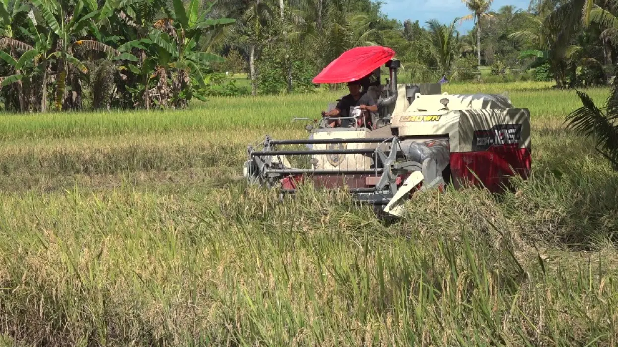 AUTP Berikan Perlindungan bagi Para Petani dari Kerugian Akibat Gagal Panen